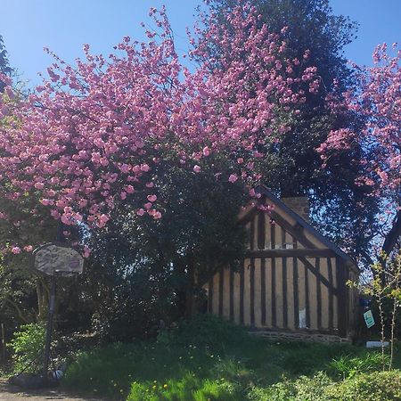Le Teilleul Ferme De La Gortiere Bed & Breakfast エクステリア 写真