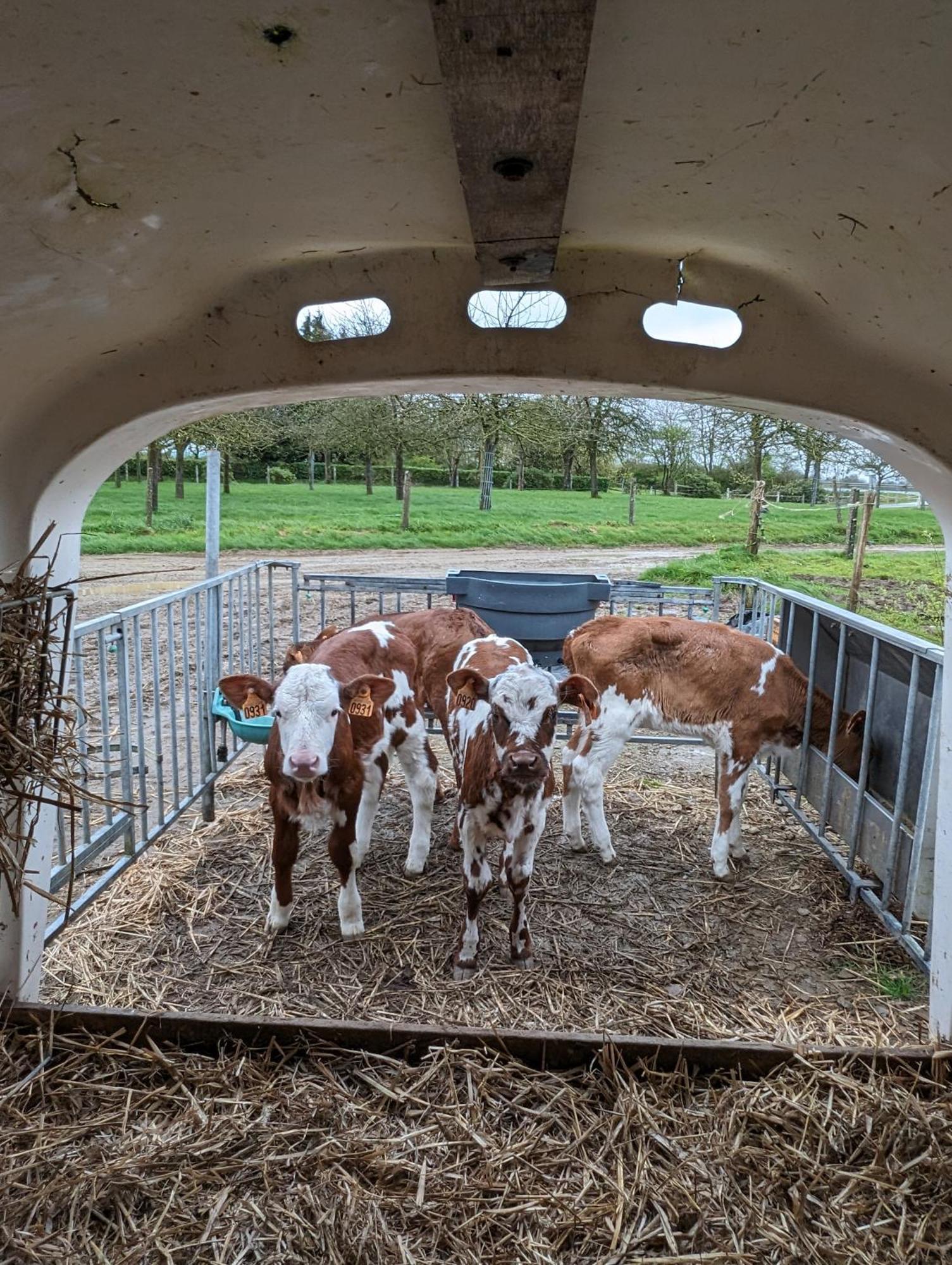 Le Teilleul Ferme De La Gortiere Bed & Breakfast エクステリア 写真